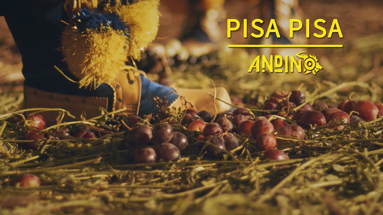 PISA PISA (Huayño) - Grupo Andino De Oruro