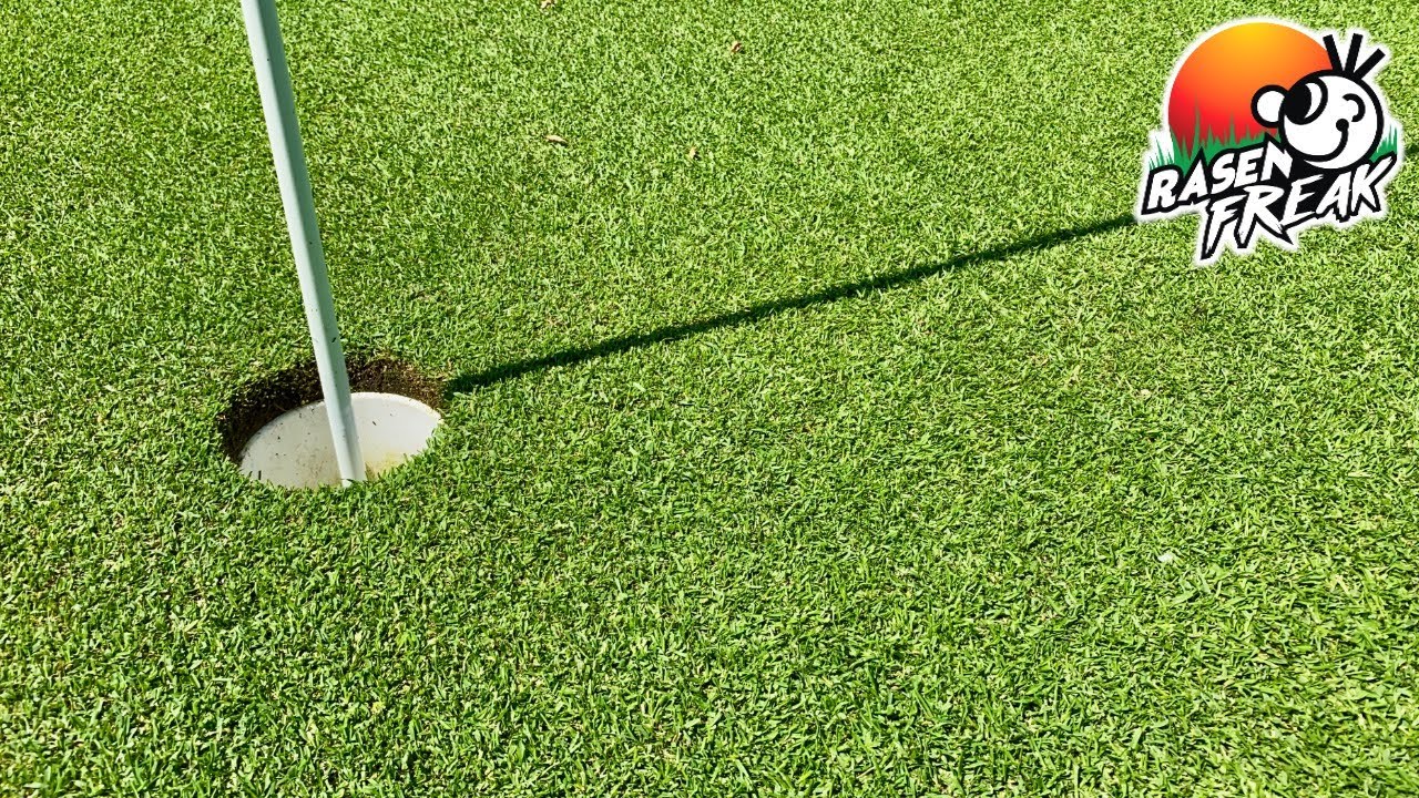 NACHSÄEN und organisch DÜNGEN (Teil 2)⎮1,5 Wochen danach ist mein Rasen schon auf GOLFPLATZ Niveau!