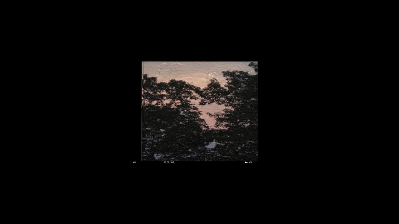🌺  free// acoustic indie x lofi x folk type beat ~ navigate