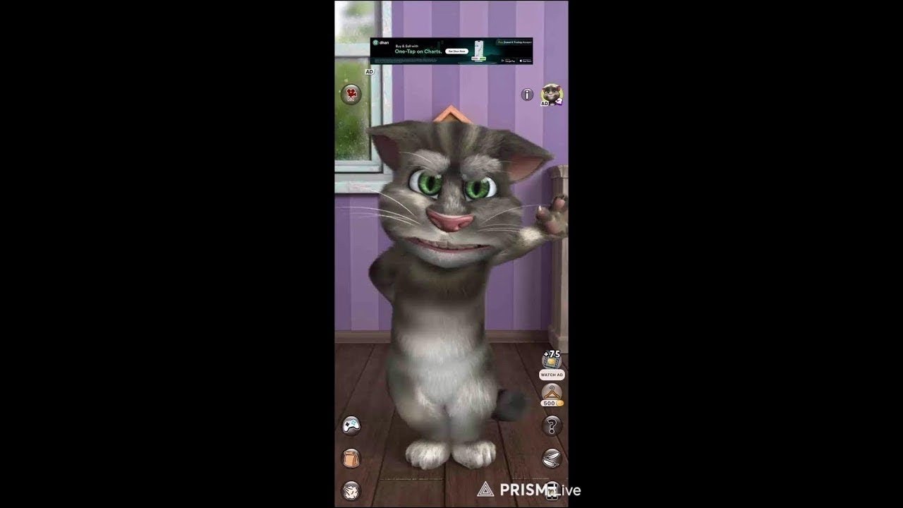 My Talking Tom Live| Cute & Funny Tom#talkingtom #shortsfeed #mytalkingtom