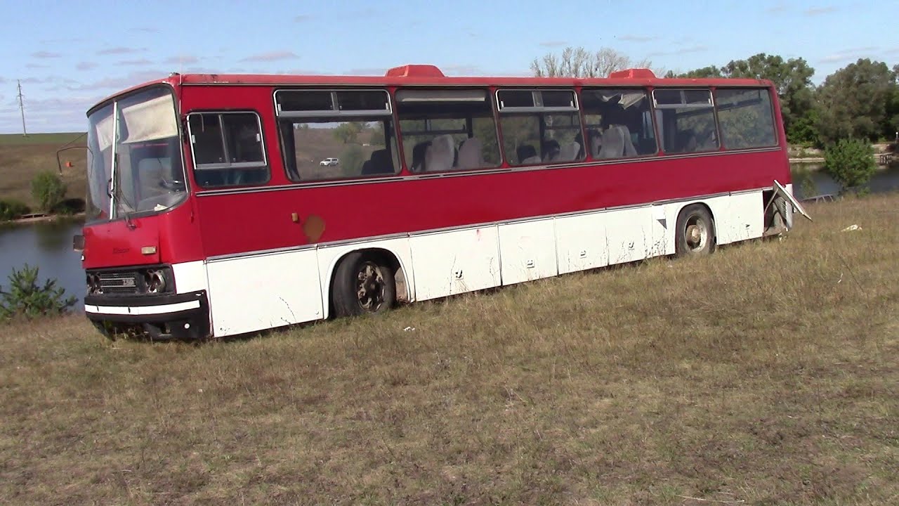 Ikarus 250.59 на озере, продолжение...