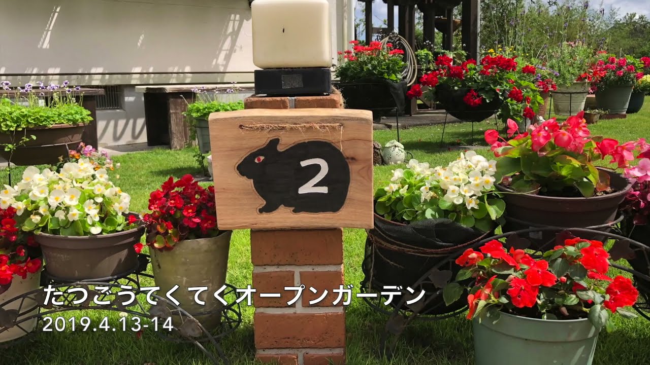 第1回 たつごうてくてく オープンガーデン -2019-【奄美大島　龍郷町】