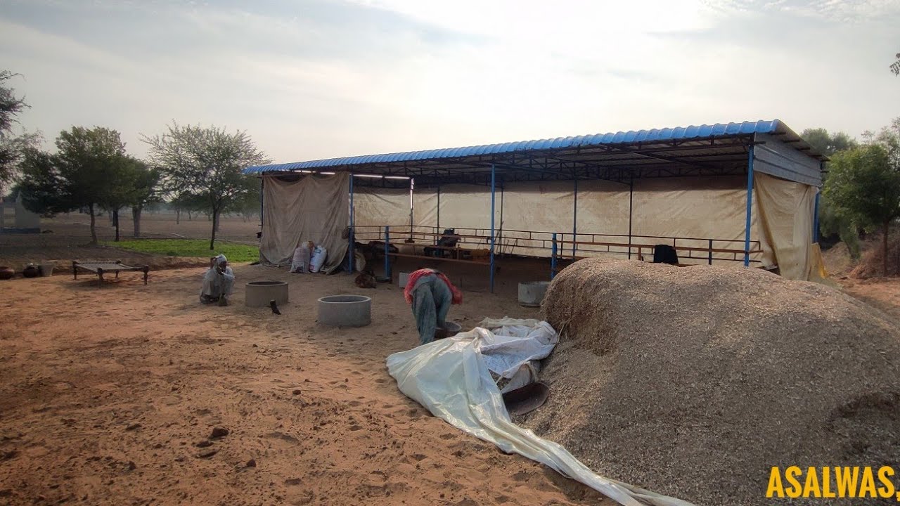 My dream project 😍|| Final part || Desi cow small dairy farm|| कसुतम्