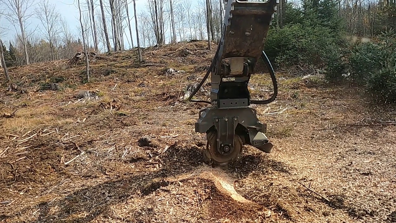 Typical Stump Grinding Conditions for my Excavator Stump Grinder