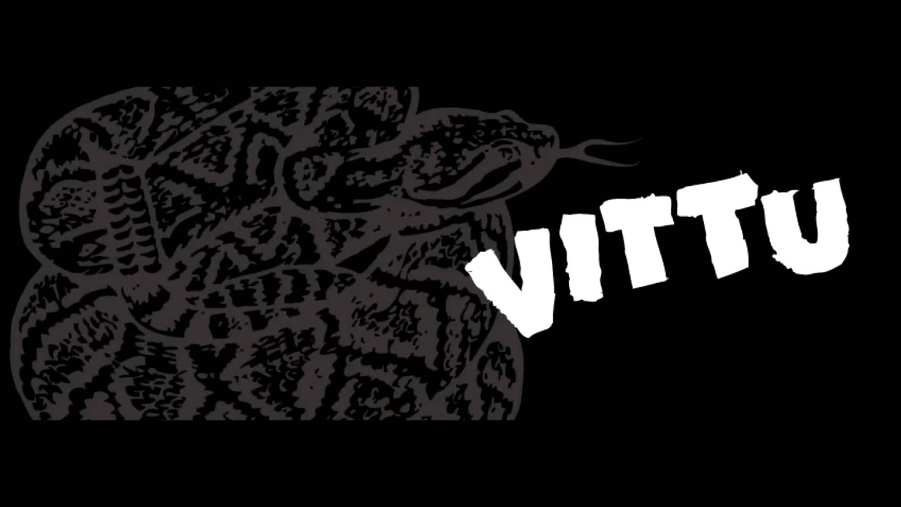 Vittu - Wish I Knew Your Name