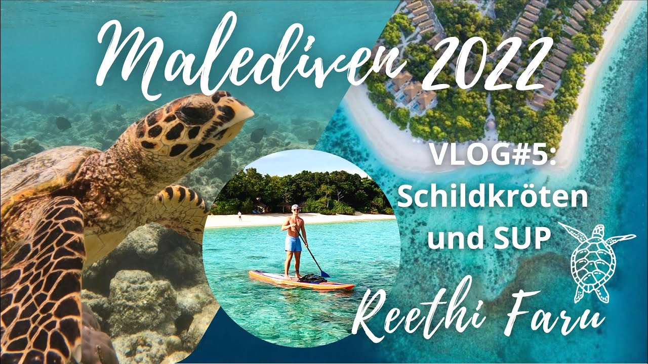 Malediven VLOG #5 : Schildkröten-Tour & SUP auf Reethi Faru