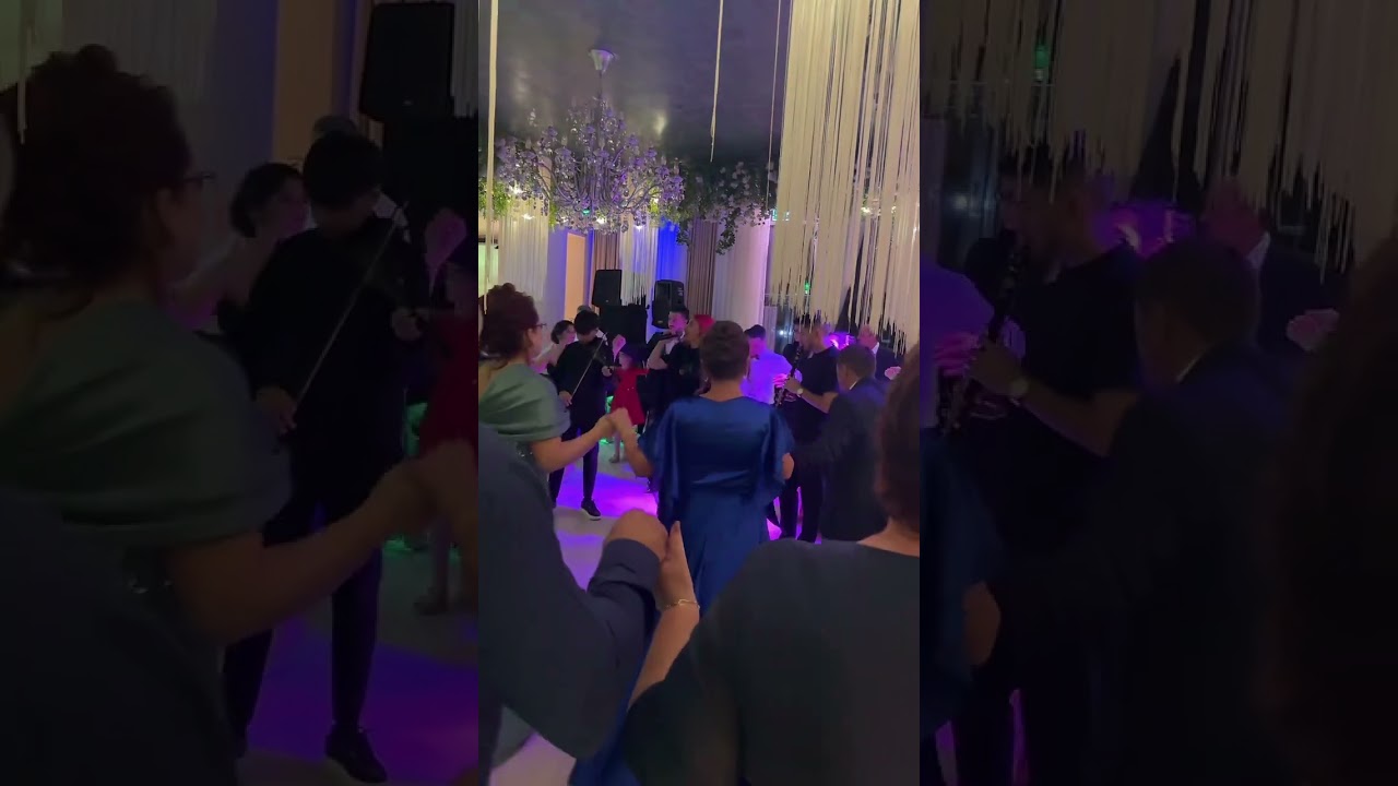 Loredana Pavel live la nuntă în București colaj / horă