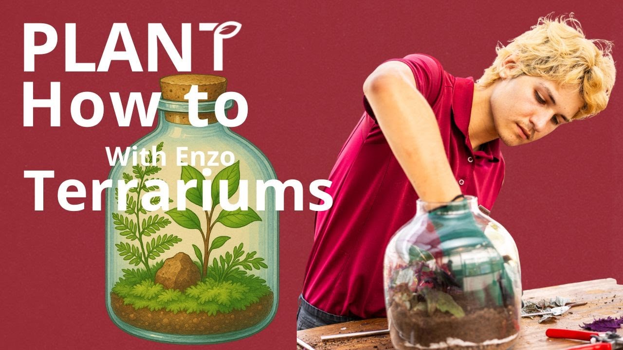 Create Your Own Terrarium | Simple Step-by-Step Guide