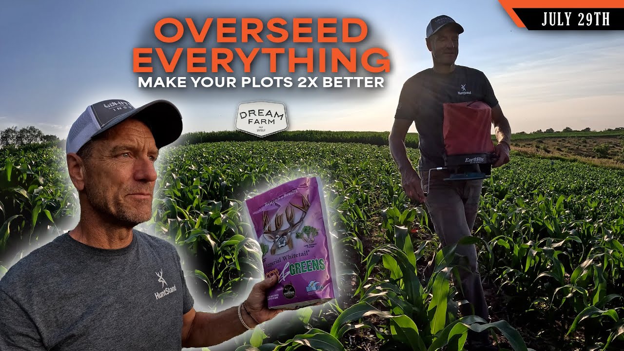 Overseeding Brassicas - Blends are Better | Dream Farm w/ Bill Winke
