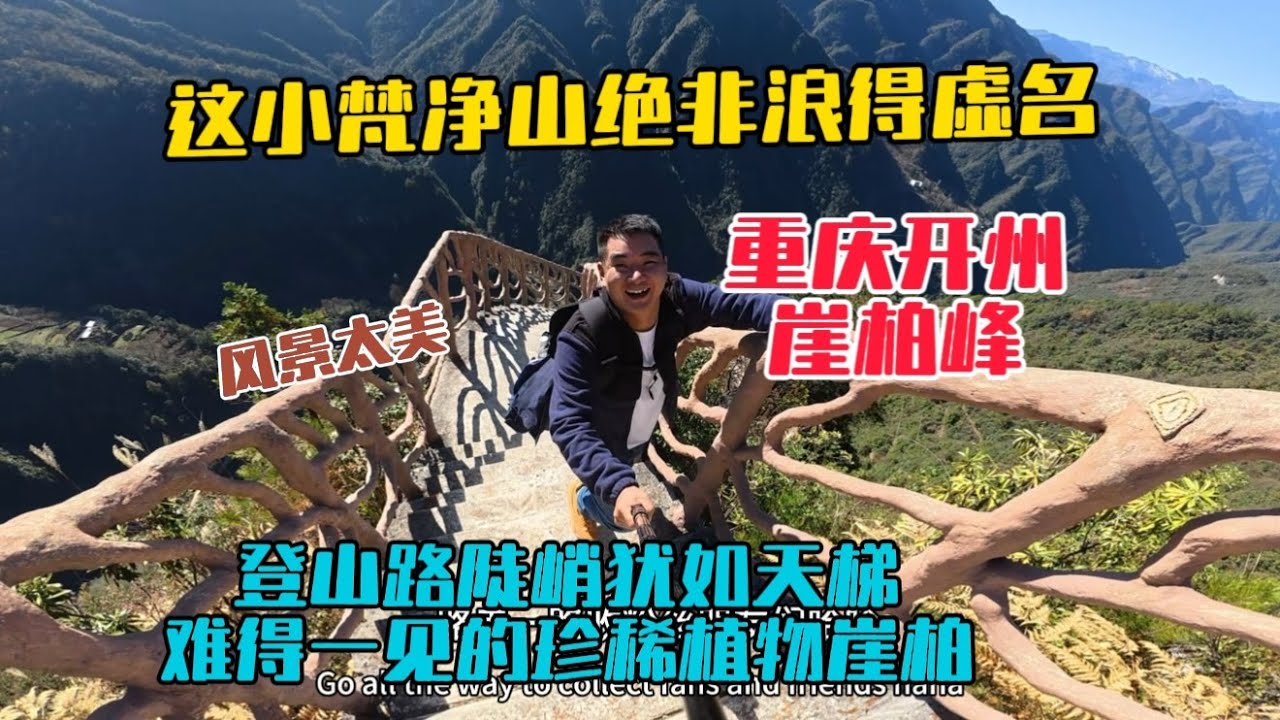 重慶小梵淨山絕非浪得虛名，登山路陡峭猶如天梯，一路風景壯美，還能見到植物界大熊貓崖柏，太值了！