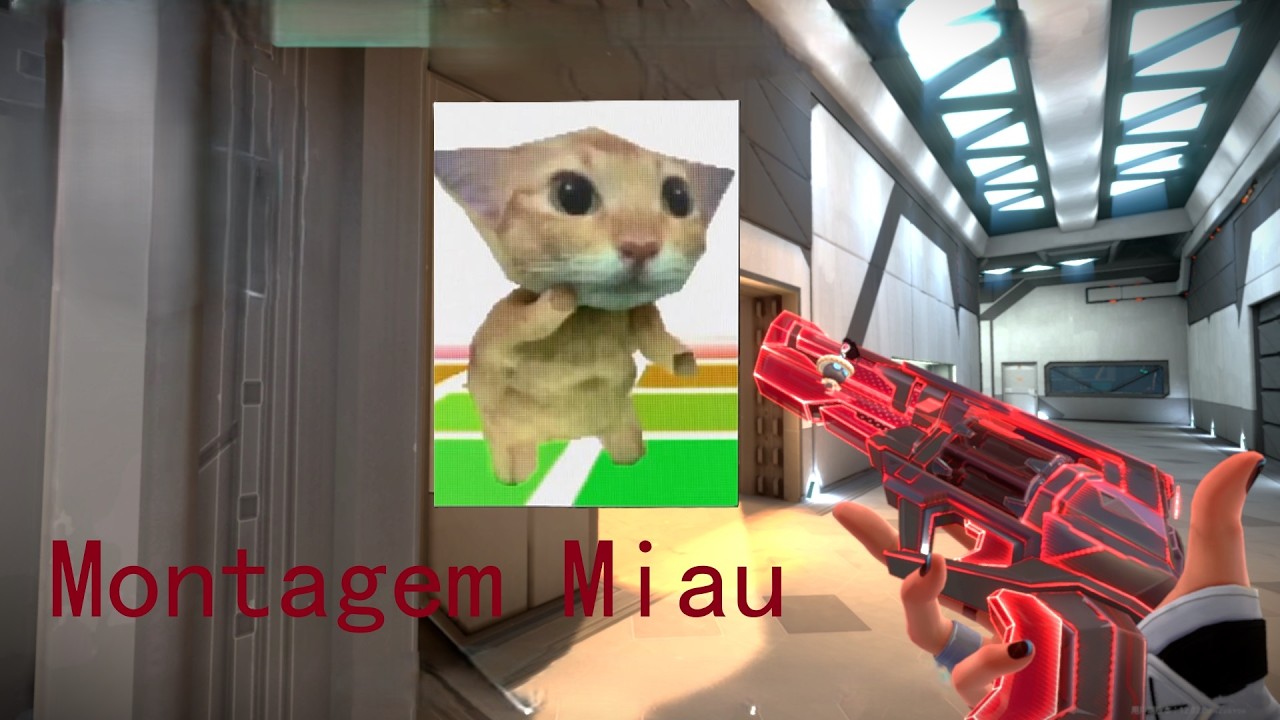 Montagem Miau| valorant montage