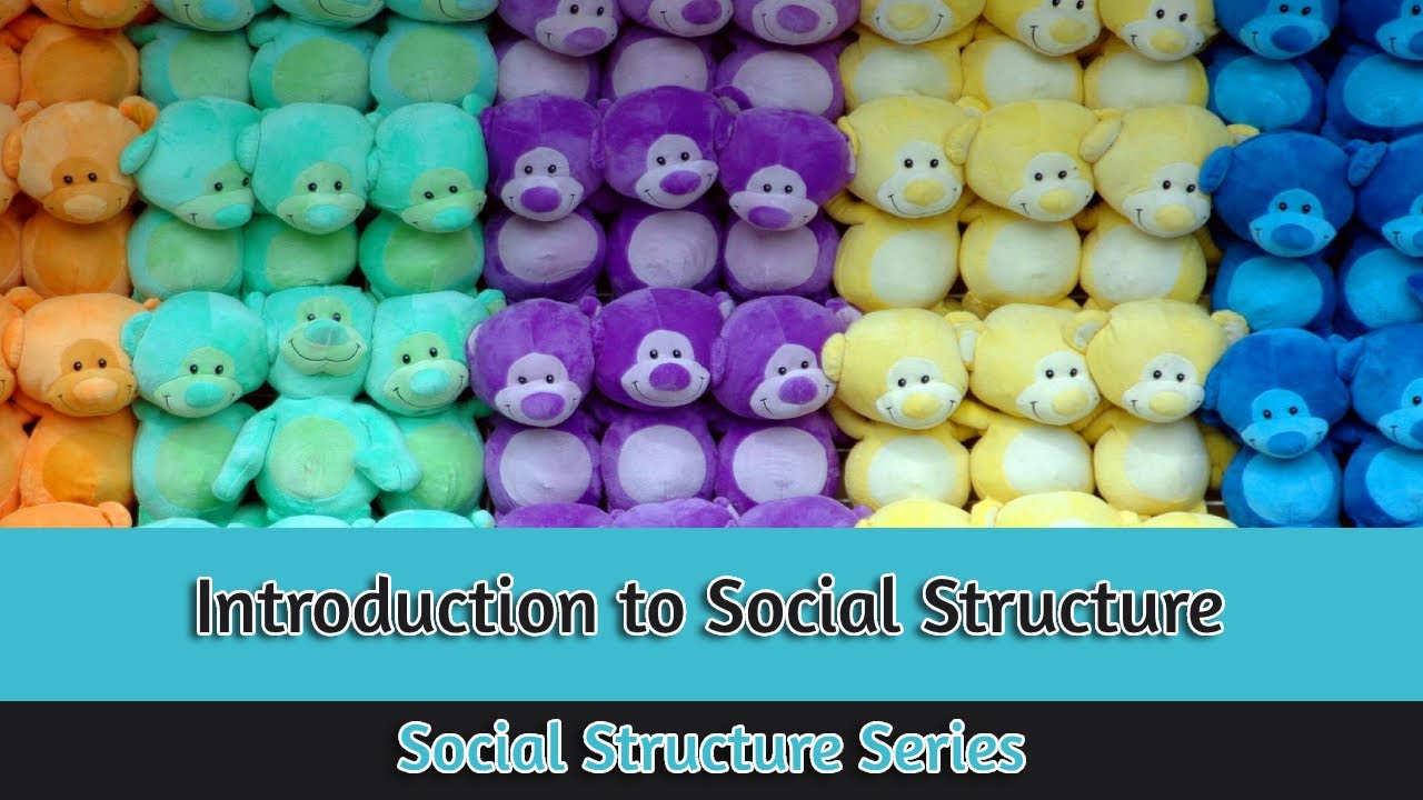 Social Structure: The Framework of Human Societies | Social Structure Series