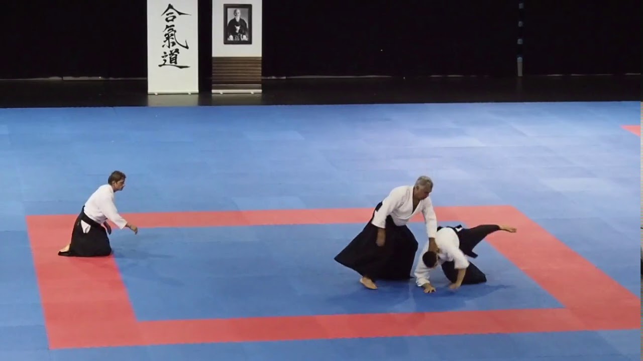 Wilko Vriesman 6. dan Shihan