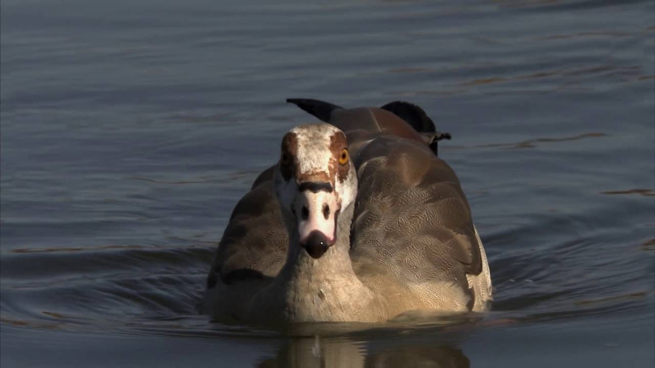 MAQ MAQ MAQ  Brighten up your day!