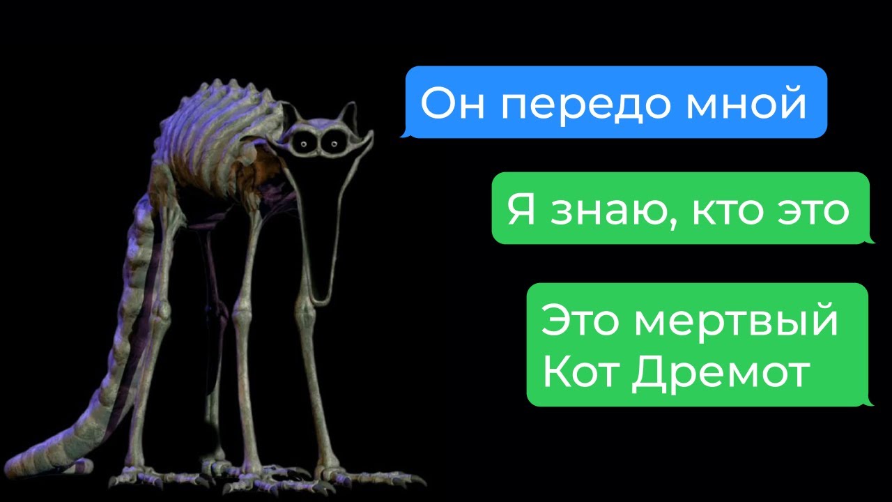 мёртвый кот дремот хочет меня поймать