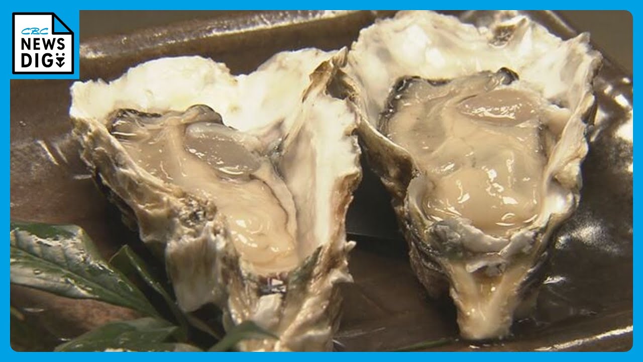 7月の津波被害乗り越え…秋の味覚“浦村かき”の出荷はじまる｢大ぶりで甘みもありプリプリ｣ 三重･鳥羽市