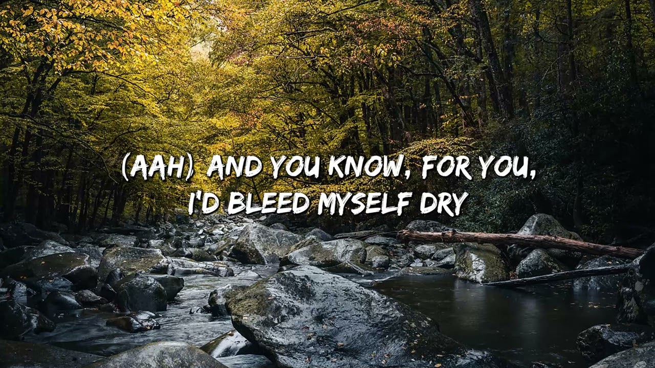 Don't Start Now - Dua Lipa (Lyrics) || Coldplay, Ed Sheeran (Mix Lyrics)