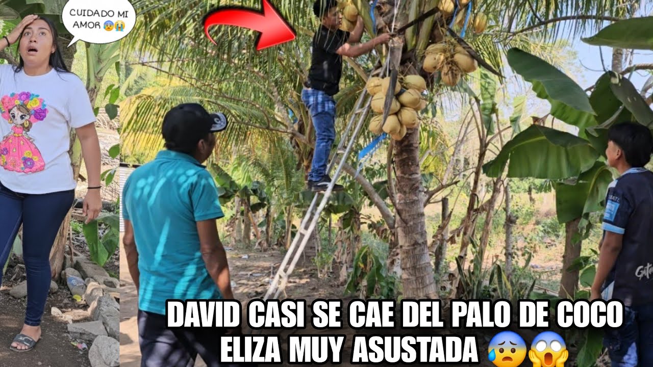 Don EDUARDO Puso A Prueba A DAVID Frente A Eliza, David No Paso La Prueba 😡😱