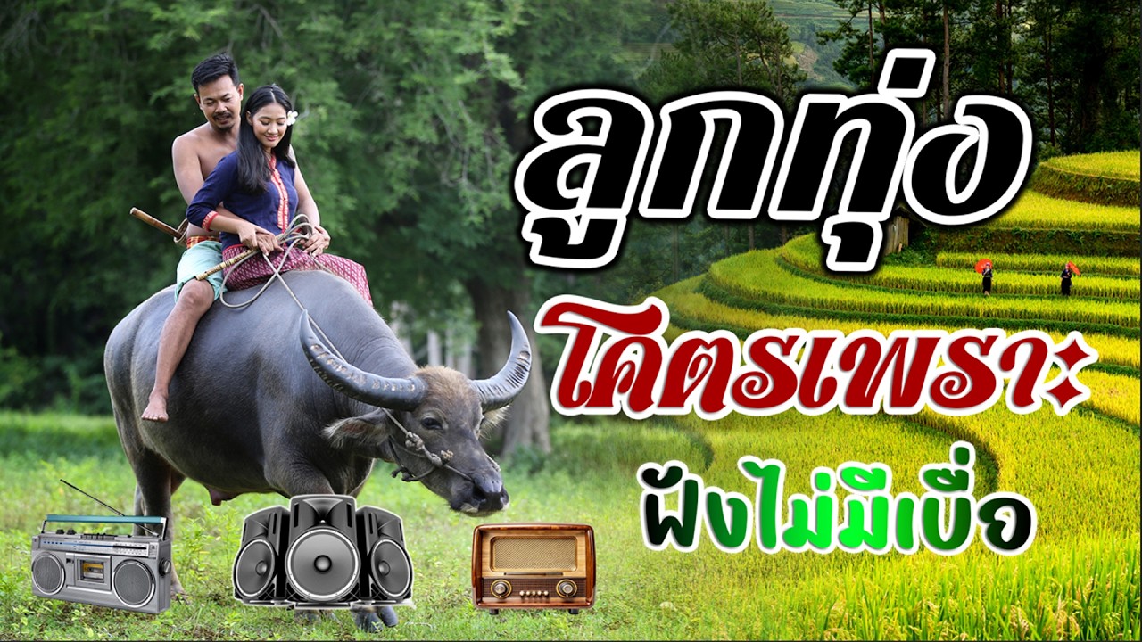 ลูกทุ่งเพราะมาก : 15เพลงฟังต่อเนื่อง 2026 #ลูกทุ่งเพลงดัง {เสียง HD}