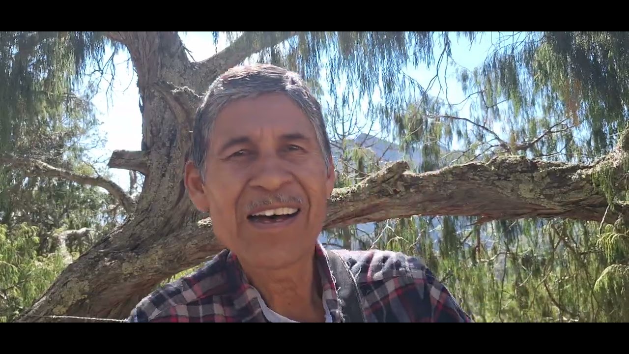 Desesperanza - los Panchos - Cover