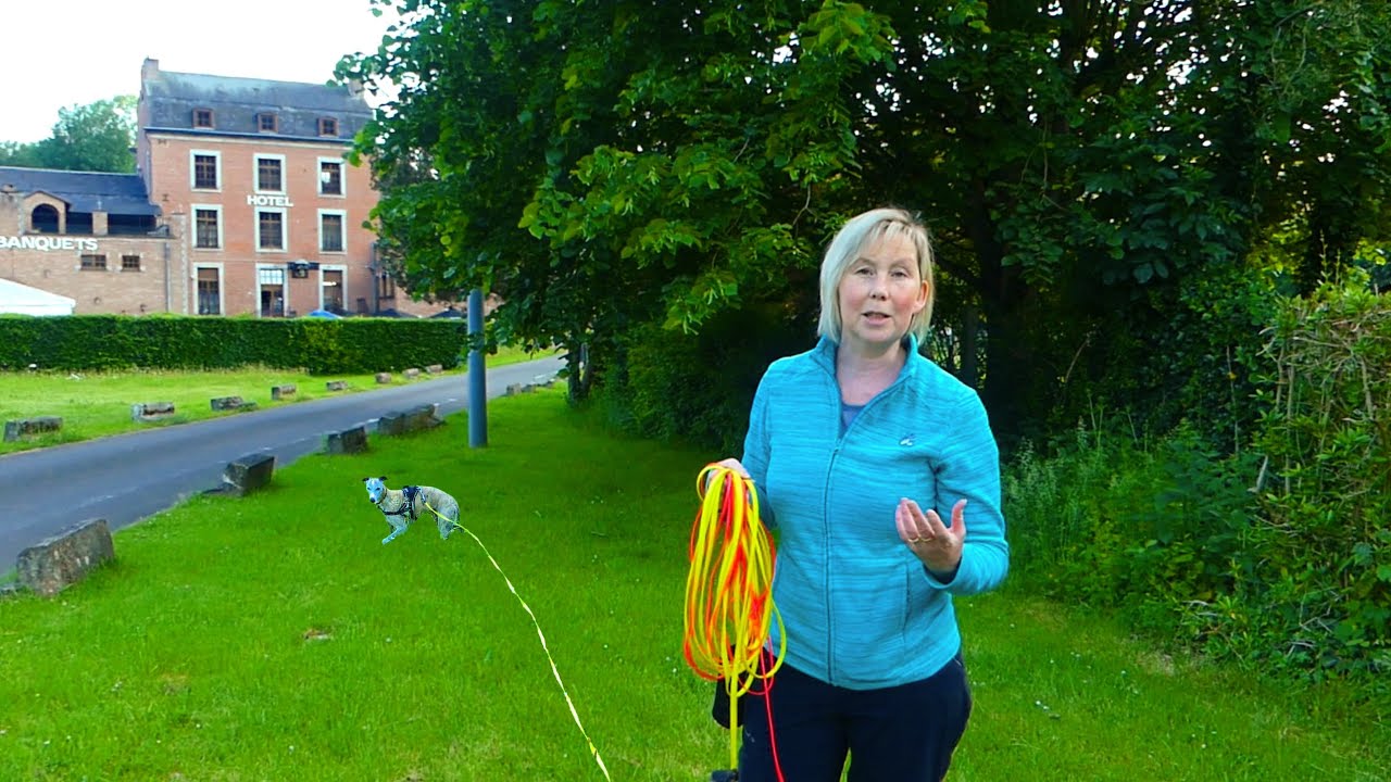 LONGES ET LAISSES POUR DES BALADES AGRÉABLES AVEC VÔTRE / VOS CHIENS - BIODOG