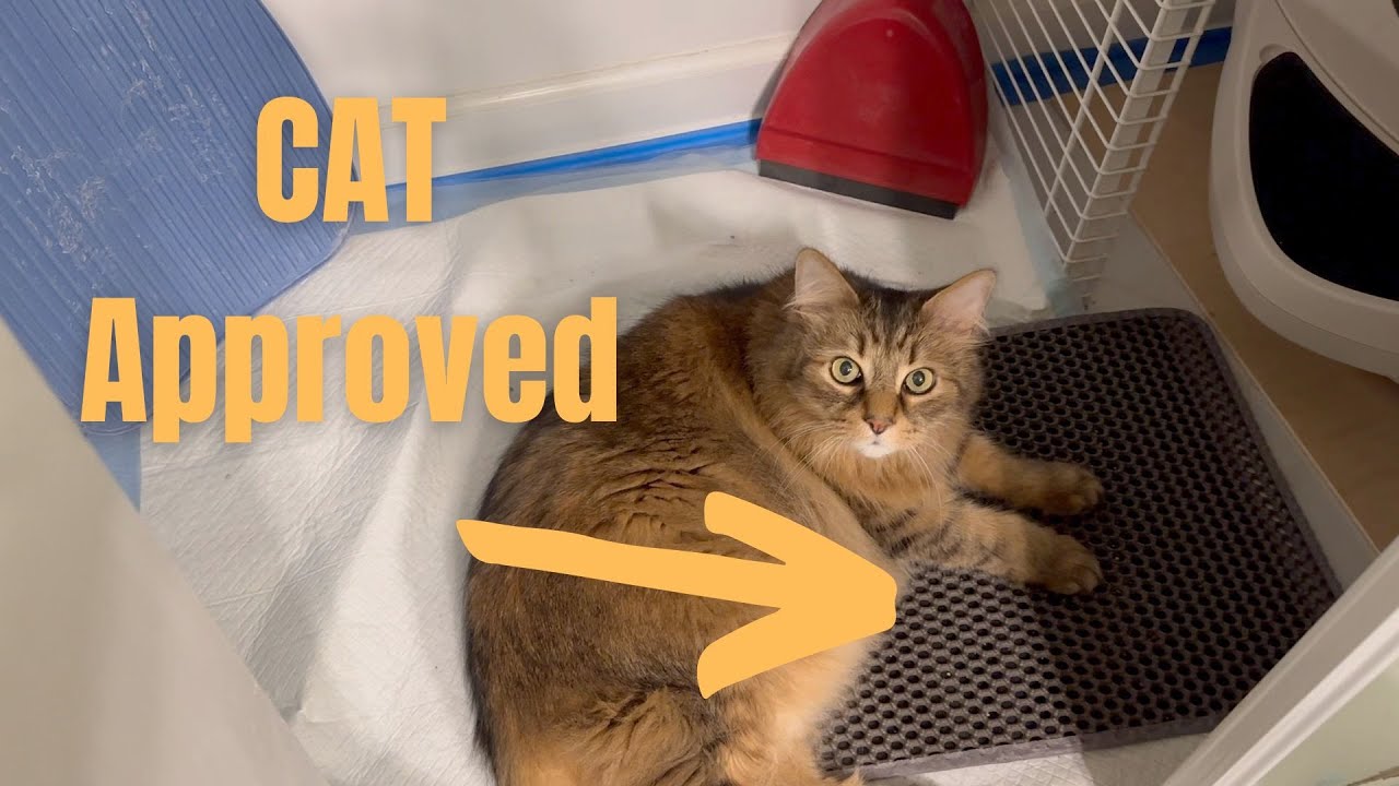 Powools Cat Litter Mat Surprising Review!