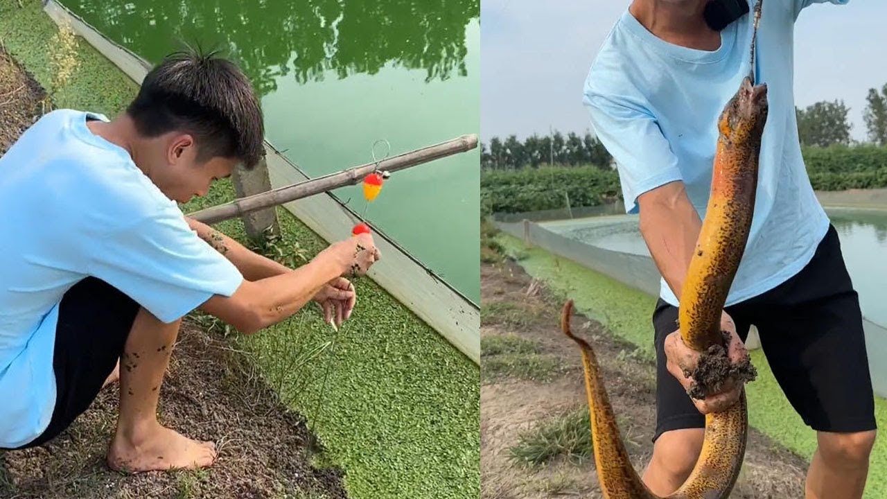 因爲江蘇的鳝魚貴，所以我們來了江蘇