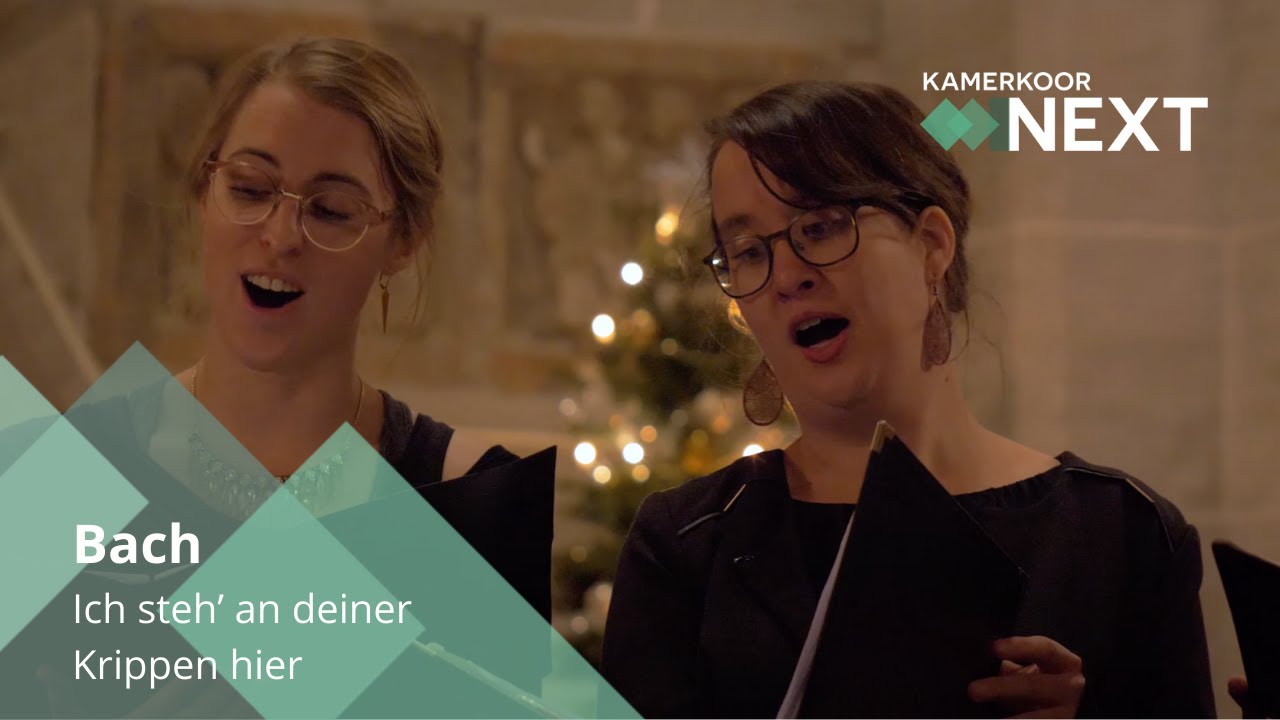 Bach (arr. Lawson): Ich steh' an deiner Krippen hier | Kamerkoor NEXT o.l.v. Fokko Oldenhuis