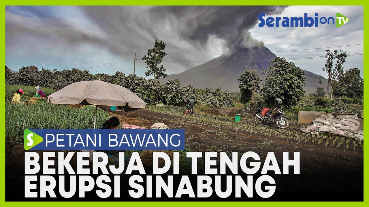 Petani Tetap Bekerja di Tengah Erupsi Gunung Sinabung