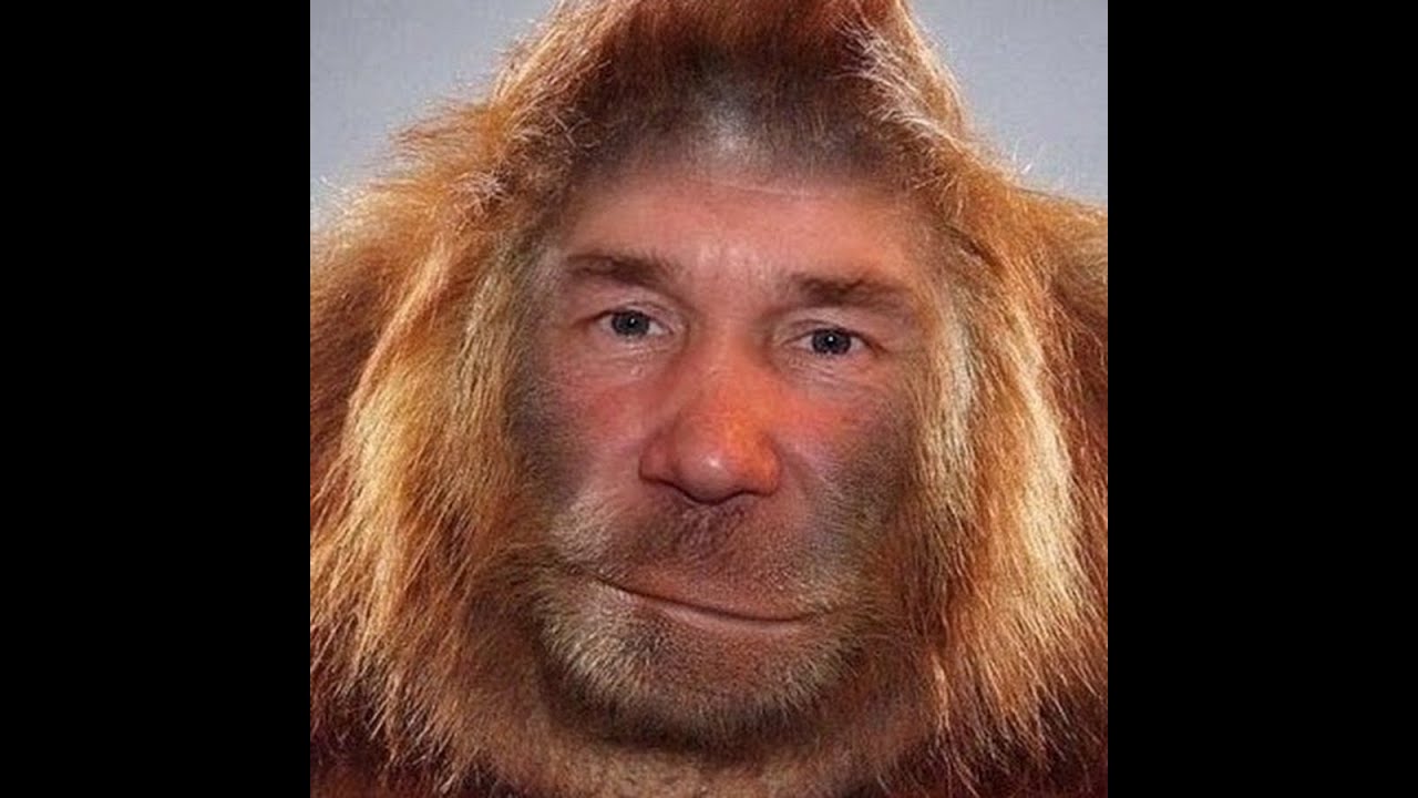 World Of Wacraft tww