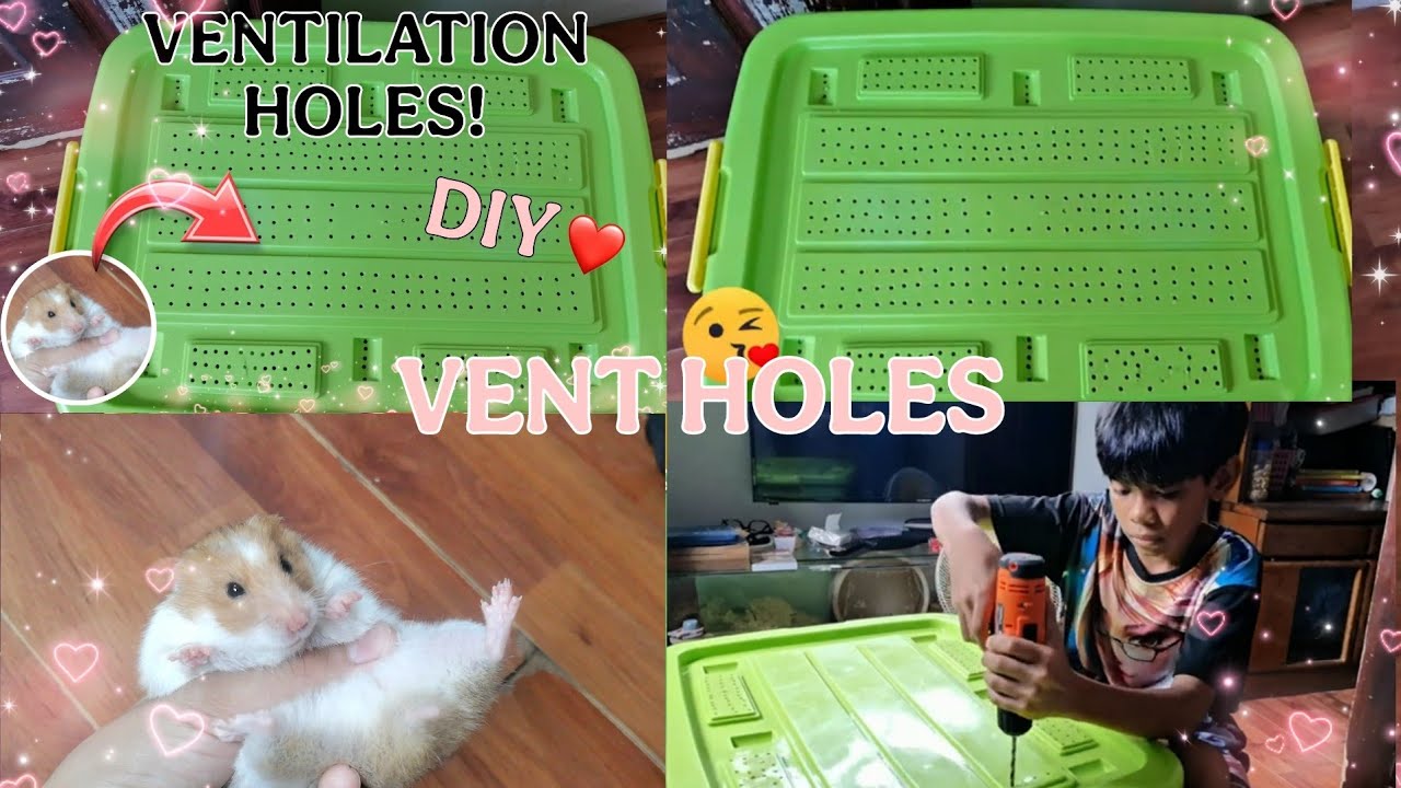DIY Hamster Bin Cage Ventilation |  Easy & Safe!✨
