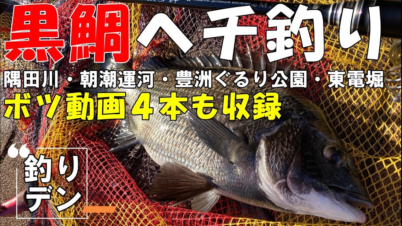 「ヘチ釣り」豊洲運河、釣り納め！「未公開動画も4本公開・隅田川・朝潮運河・豊洲ぐるり公園・東電堀」