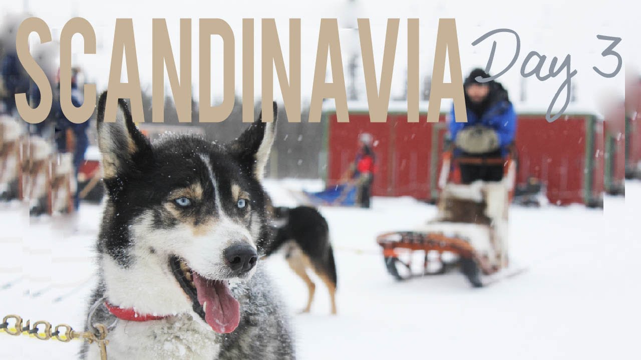 Scandinavia - Day 3 - Dog Sledding & Abisko