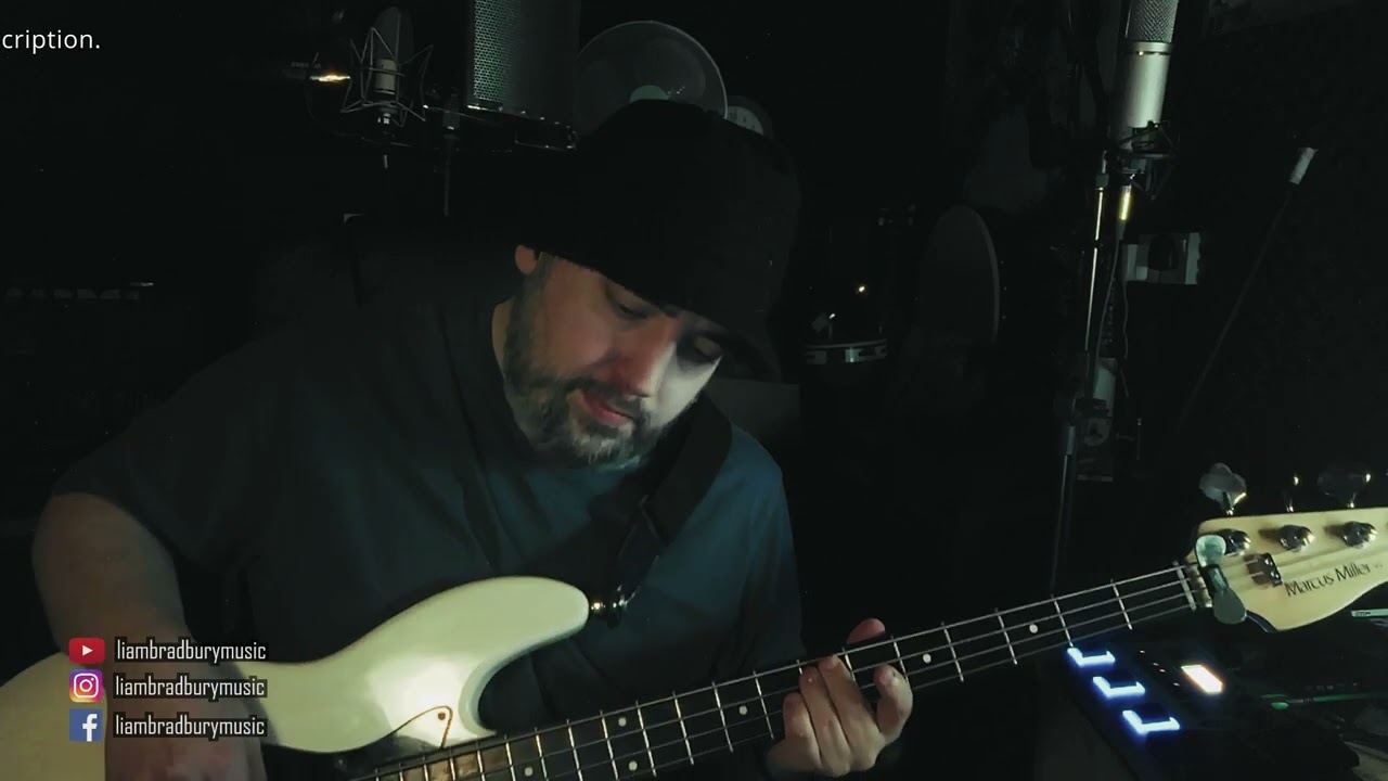 🎸 