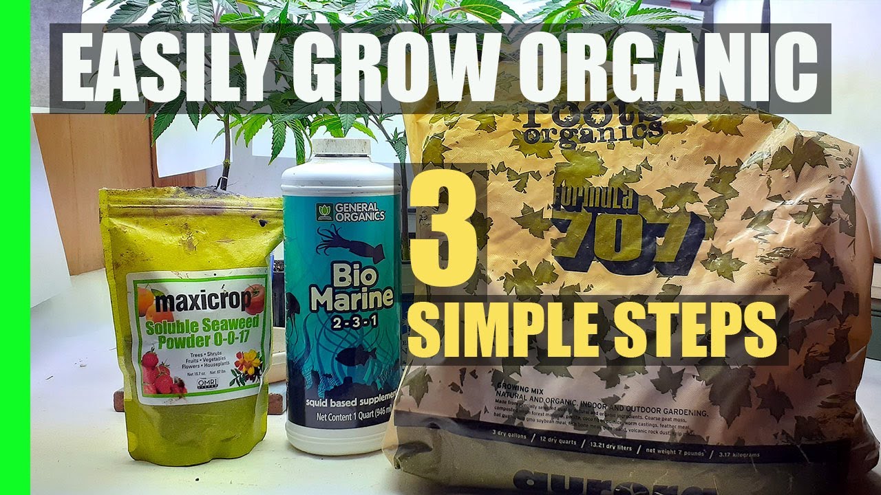 Foolproof way to Grow Healthy & Vigorous Organic Plants in (3) Simple Steps