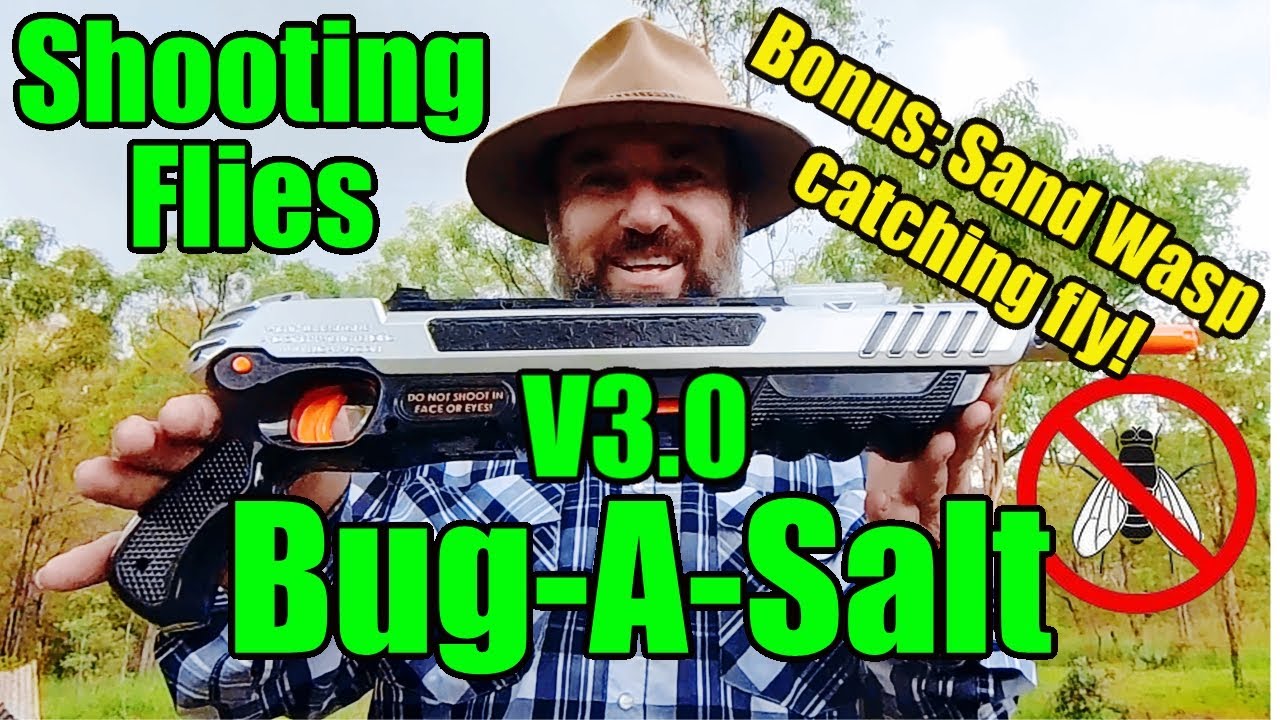 Blasting Flies: Bug-A-Salt V3.0. Testing and Review
