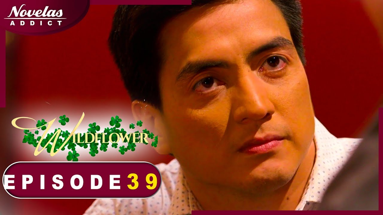 FLEUR SAUVAGE - Episode 39 - Novelas Complete en Francais