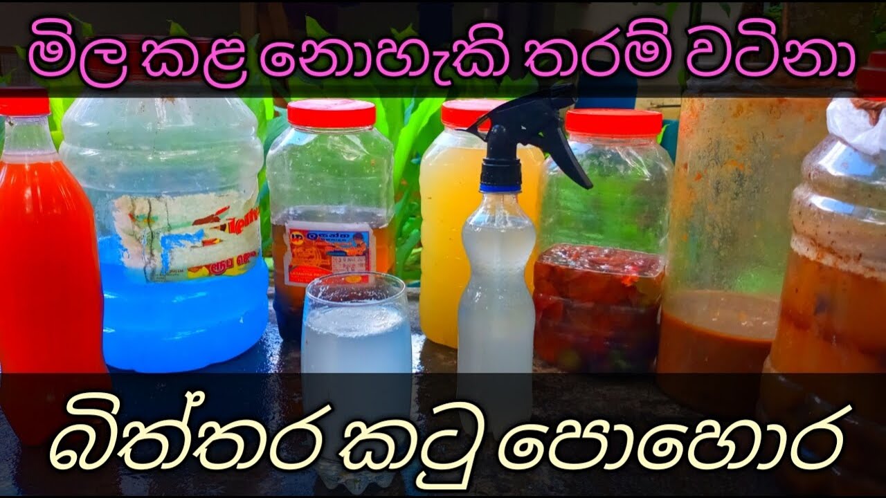 How to make egg shell liquid organic fertilizer. | බිත්තර කටු දියර පොහොර. | Ceylon Agro - 2021