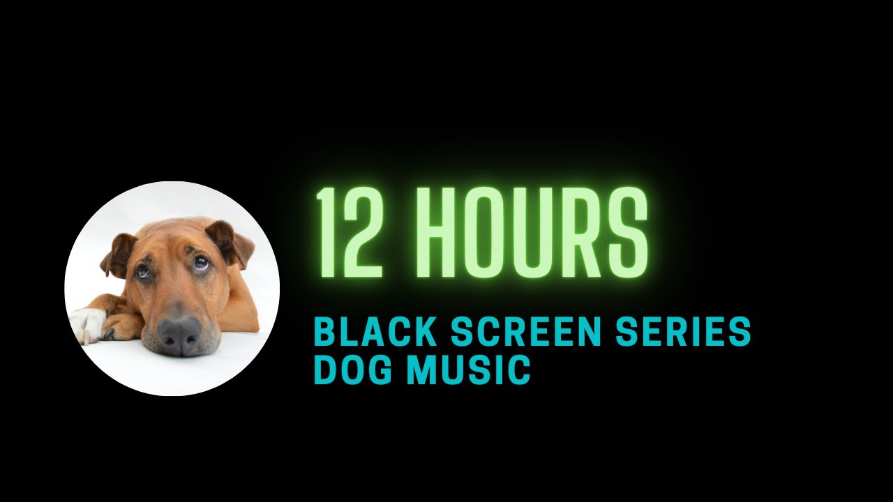 12 hour dog calming music to sleep and calm anxiety - black screen - with sounds for dogs