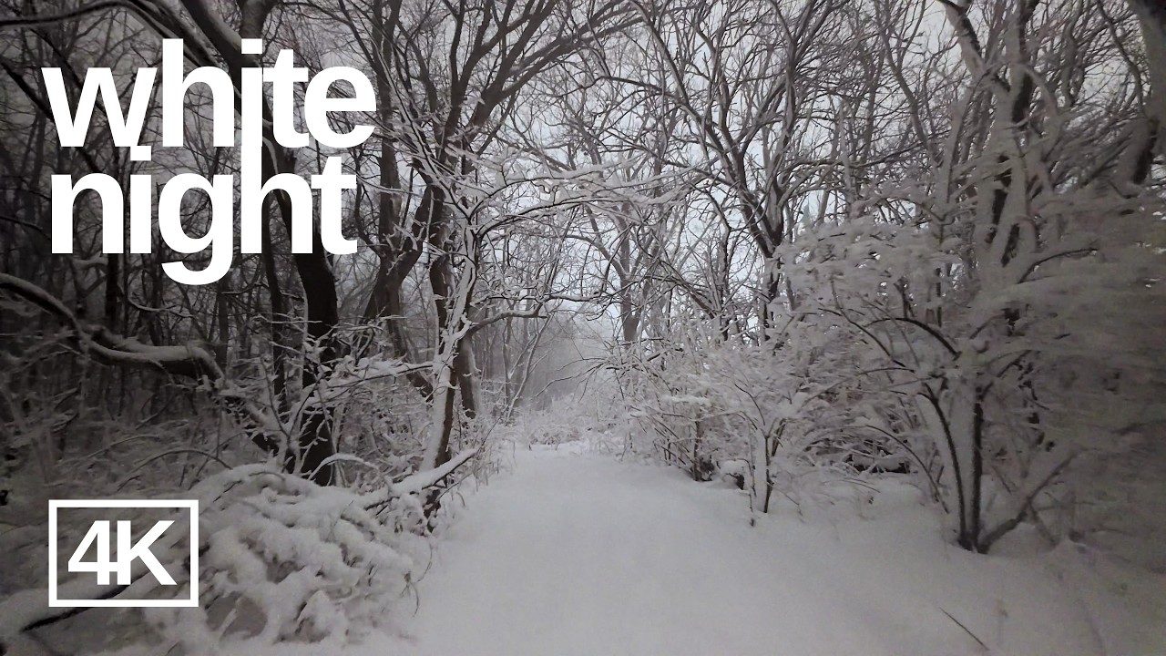 Come with me: White Night