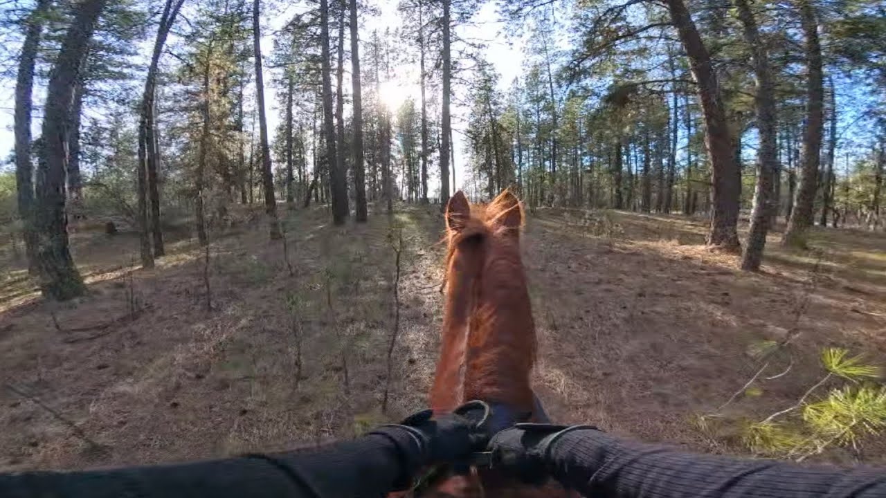 Eastern Washington Trail Ride