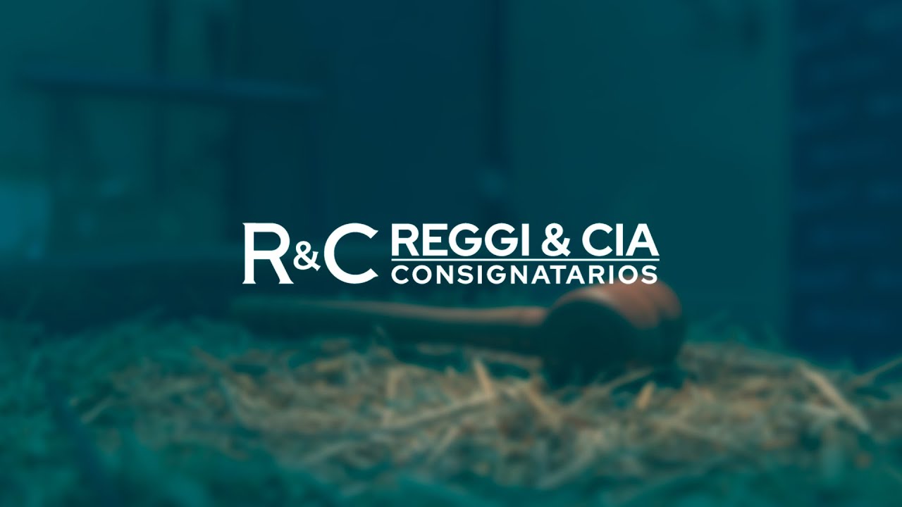 Remate Haciendas Generales - Bella Vista Ctes.