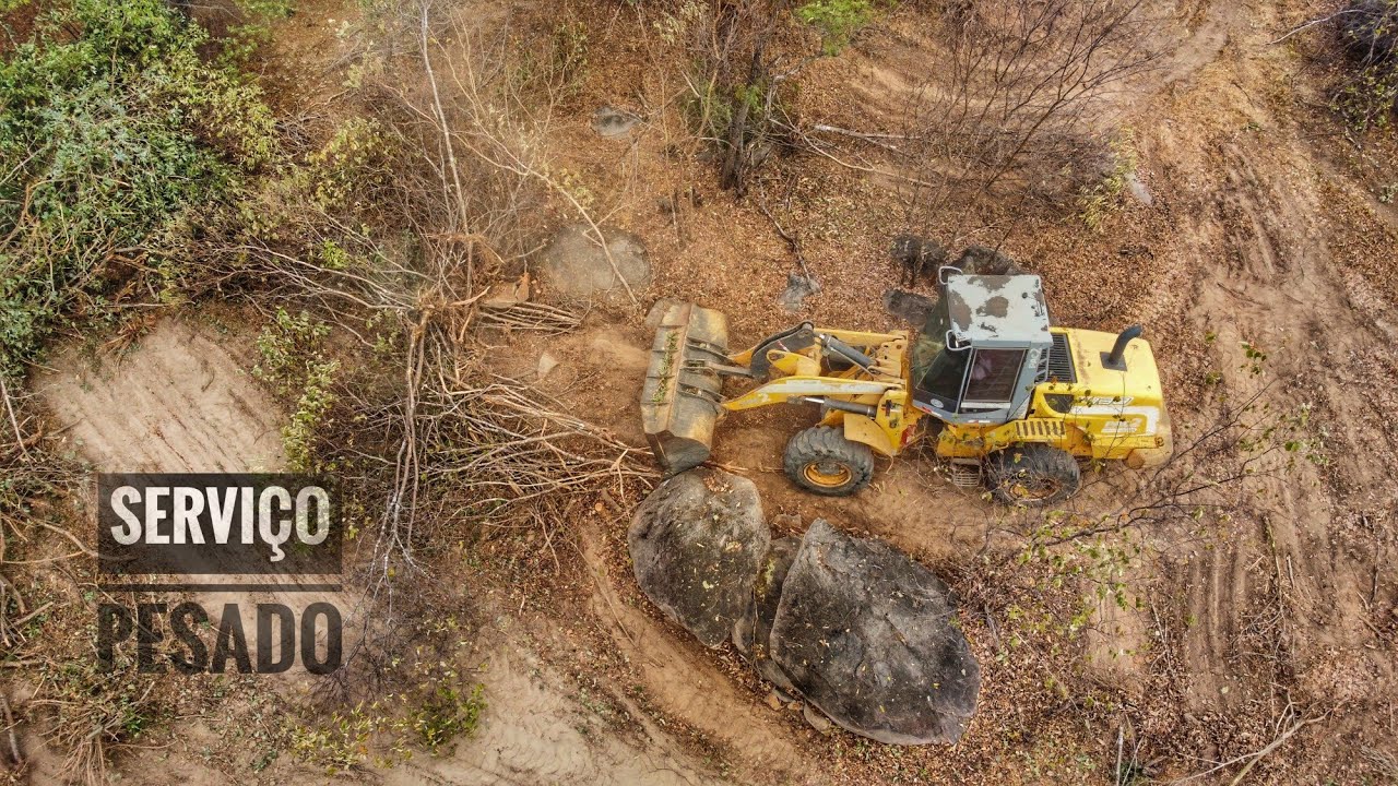 carregadeira limpando área para plantio - New Holland w130 ( Op Marcos Aurélio )