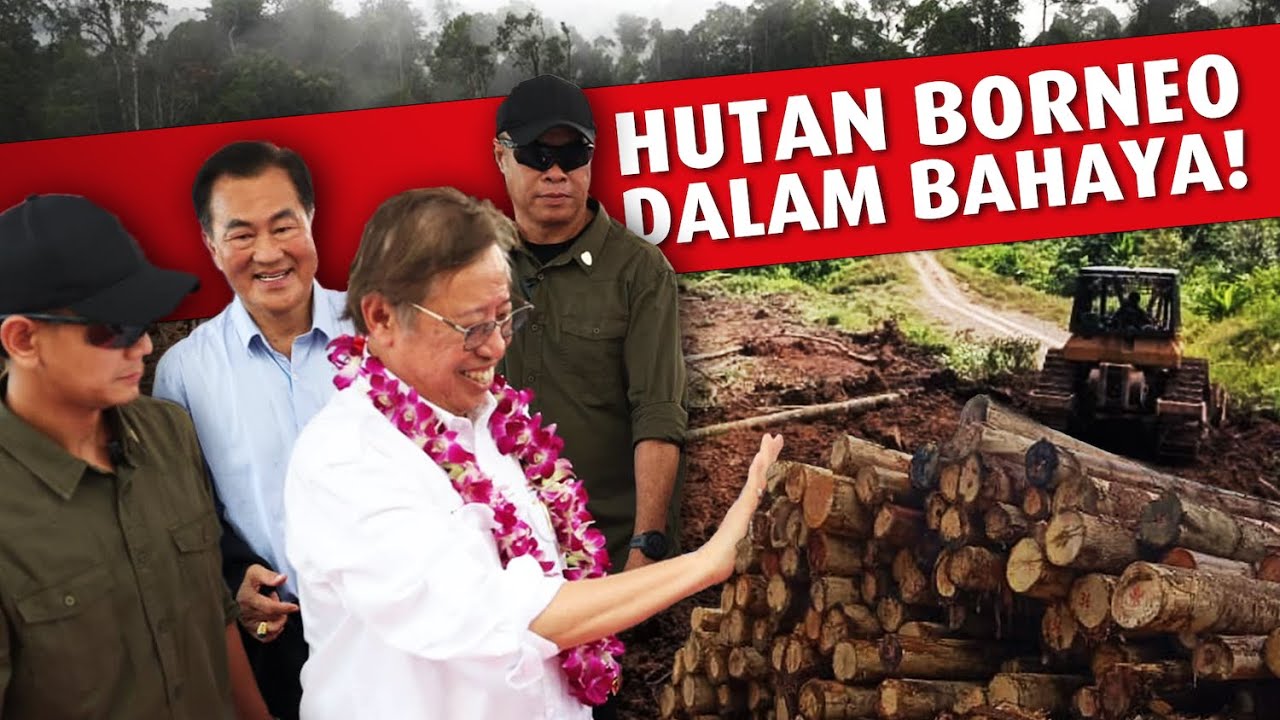 Hutan Borneo dalam bahaya!
