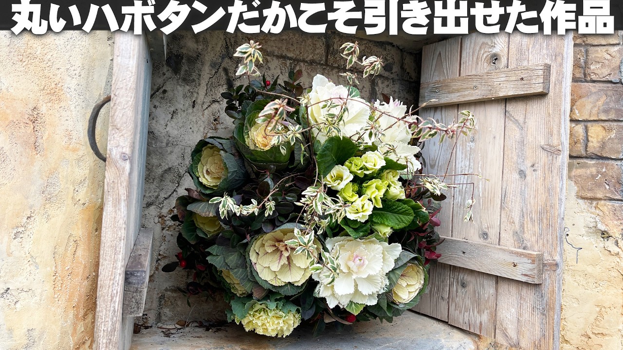 【ハボタンのハンギングバスケット】アンティークなハボタン「フレスコ」をふんだんに脇役に使った贅沢な作品【園芸】【ガーデニング】