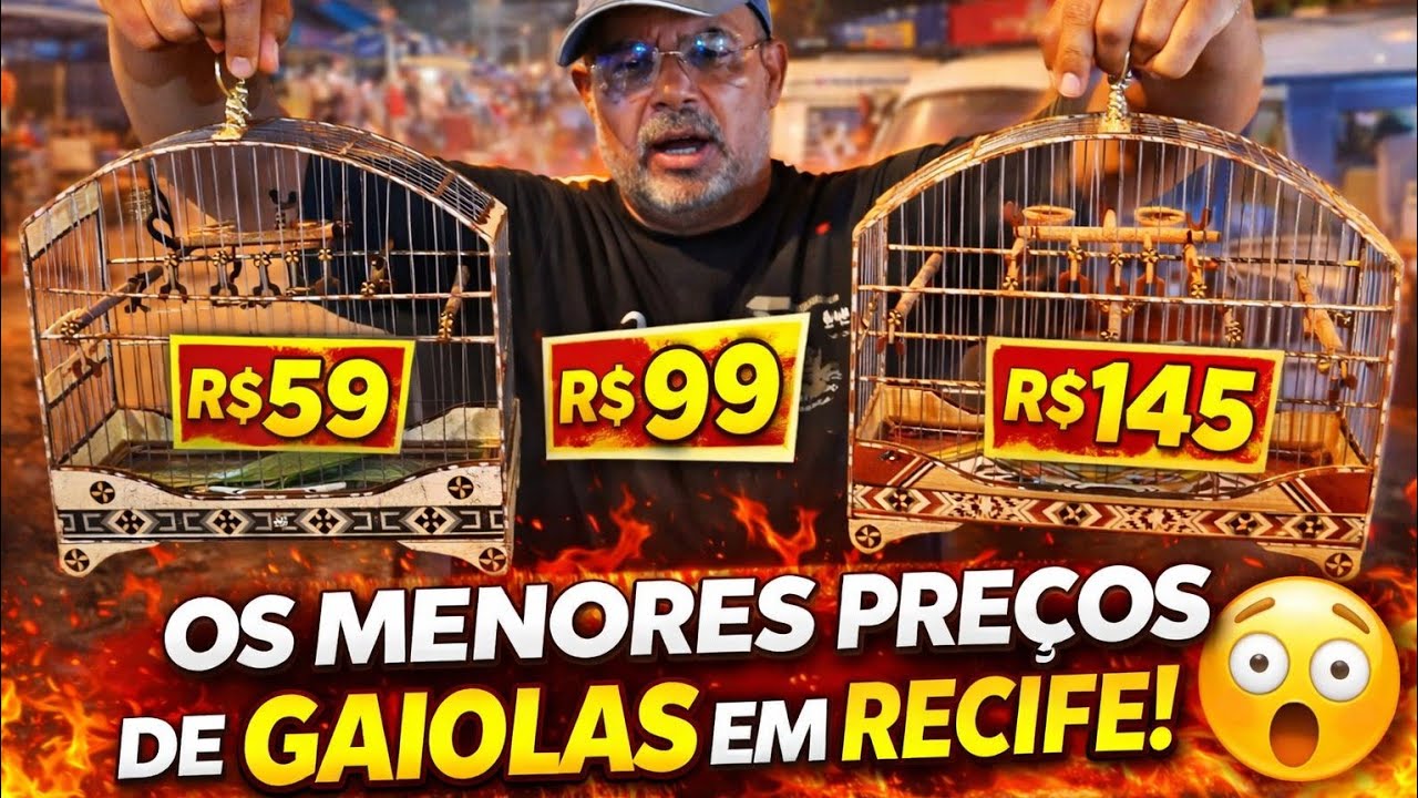 Os Menores Preços de Gaiolas da feira do cordeiro em Recife! 😱