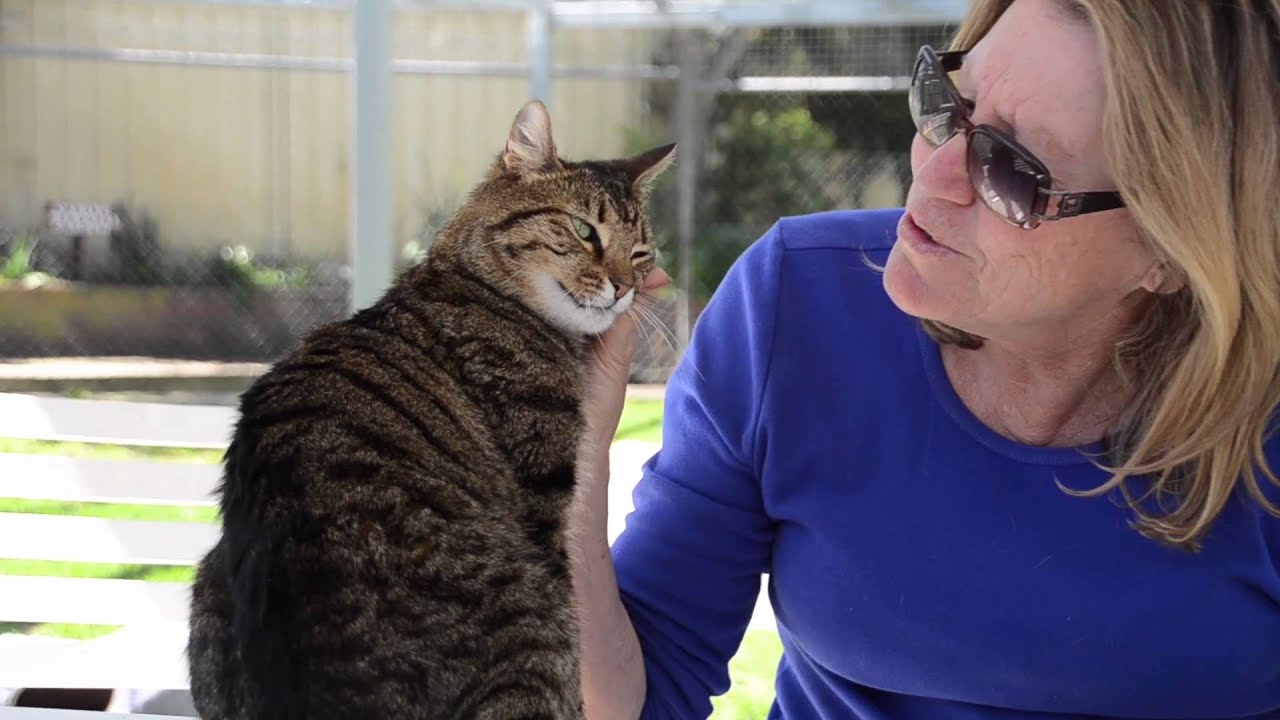 Animal Protection Society W.A (Rescue centre promo)