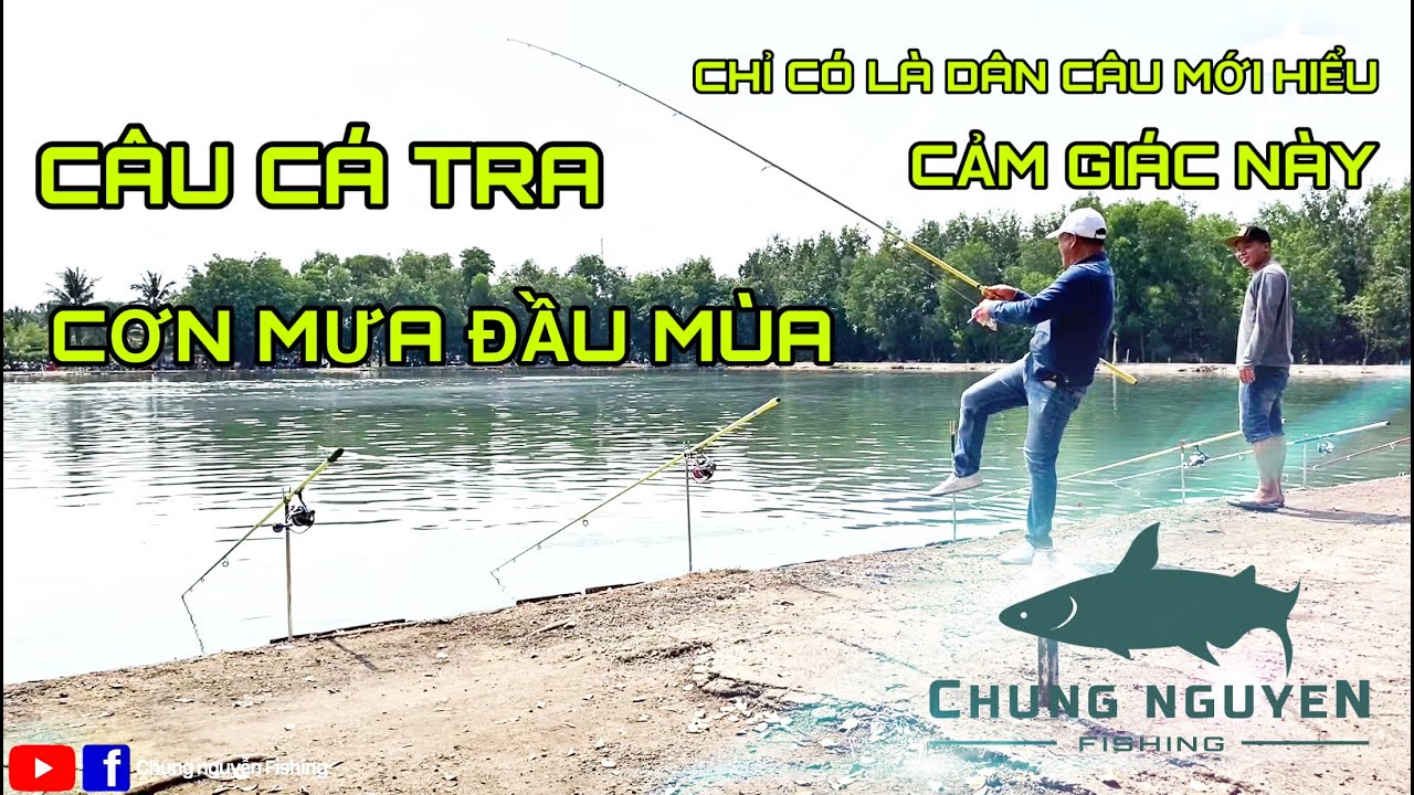 Câu Cá Tra | Cơn Mưa Đầu Mùa | Hồ Câu Cá Hải Long Vương | Chung Nguyễn Fishing