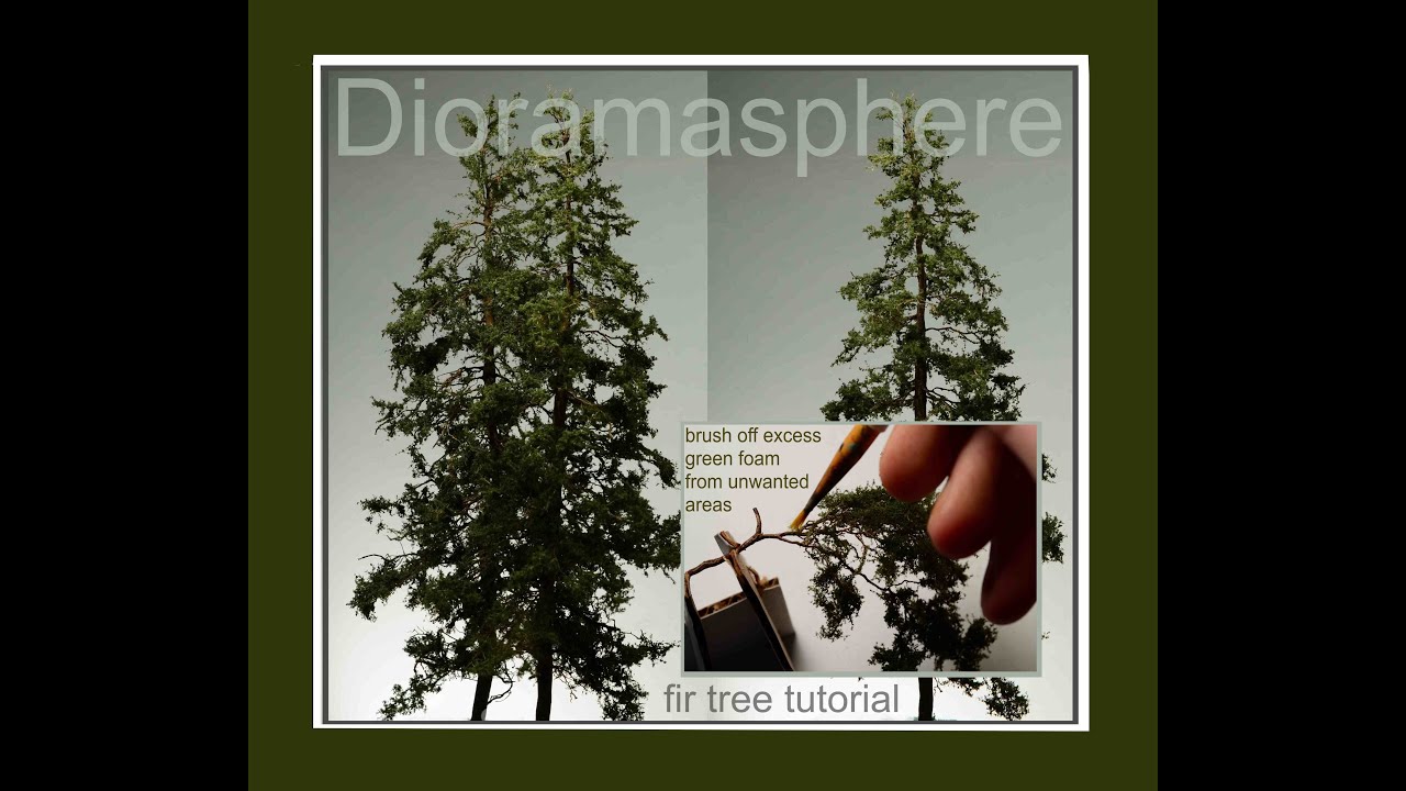 Creating Realistic Scale Trees from Real Roots