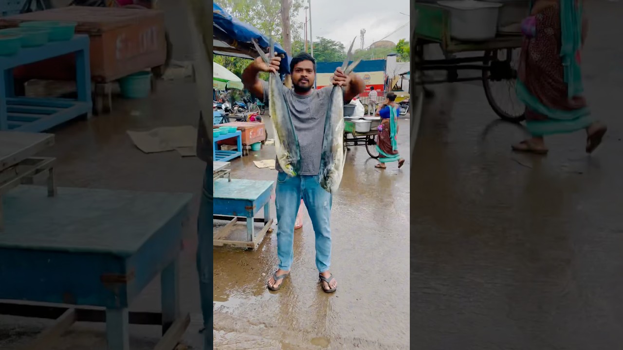 🐠అభిలాష్ ఫిష్ Apollo fish🐟|vizag Hari |#vizagfishingharbour
